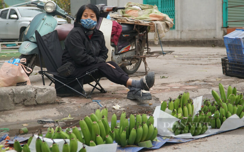 gia-chuoi-xanh-tang-toi-vai-tram-nghin-dong/nai,-vi-sao-tieu-thuong-van-tu-tin-het-hang-truoc-giao-thua?